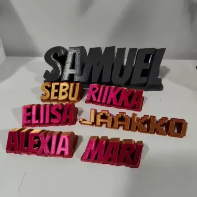 Placa de Nome Personalizada - Design Curvo (1 Linha)