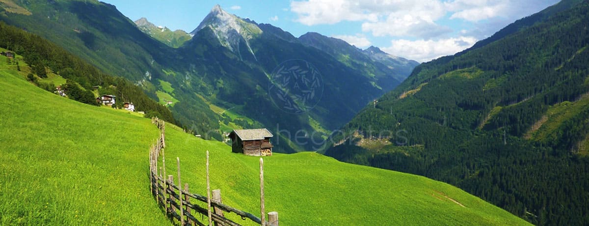 Sustentabilidade: o futuro