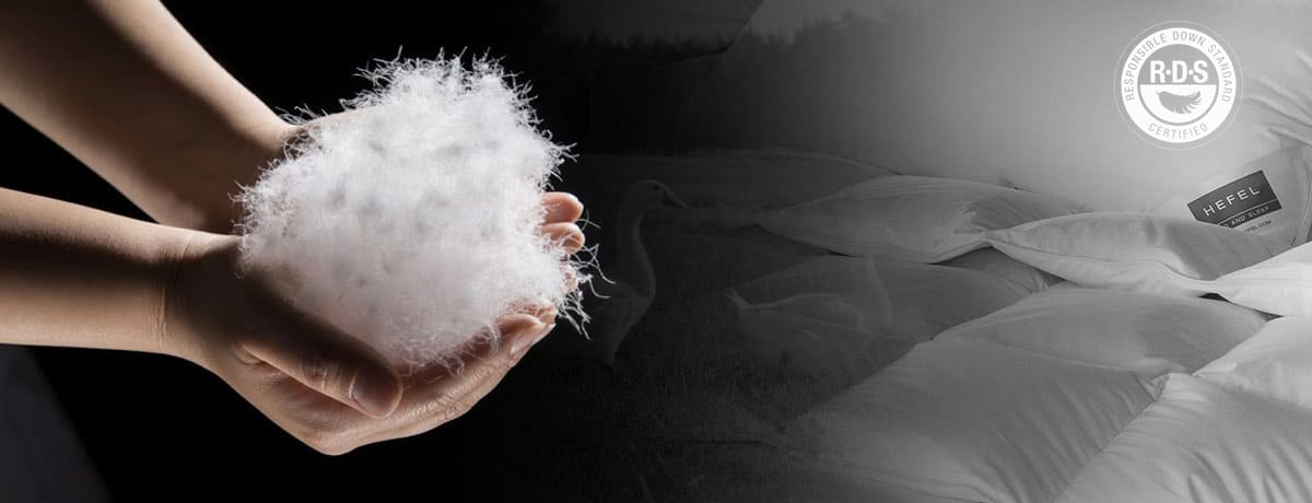 Descubra o segredo de um sono verdadeiramente incomparável