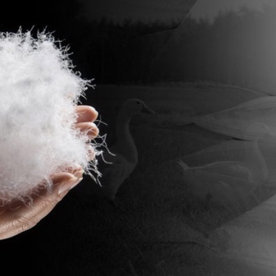 Descubra&#x20;o&#x20;segredo&#x20;de&#x20;um&#x20;sono&#x20;verdadeiramente&#x20;incompar&#x00E1;vel