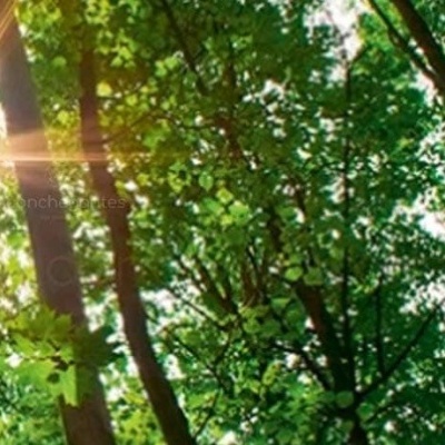 HEFEL: Ecologicamente Excecional