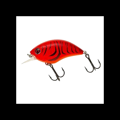 Amostra Sakura Bomba Crank SCB