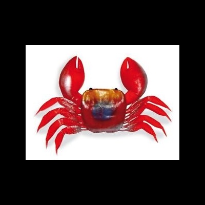 Amostra Lineaeffe Caranguejo