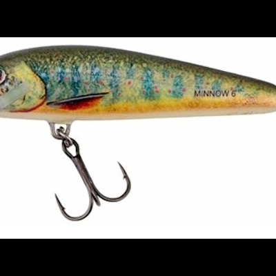 Amostra Salmo Minnow Floating  6 e 7cm