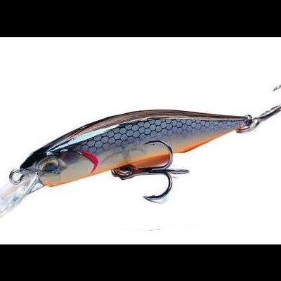 Amostra Hengjia Jerkbait 8