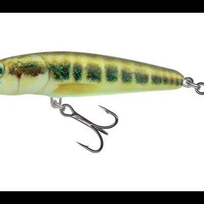 Amostra Salmo Minnow Floating  6 e 7cm