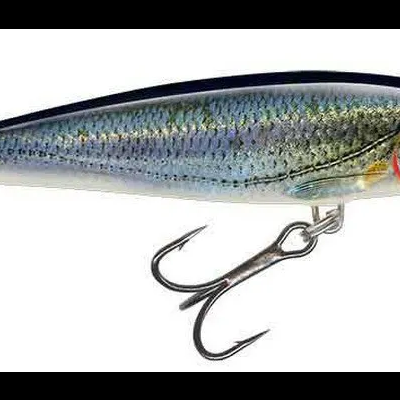 Amostra Salmo Minnow Floating  6 e 7cm
