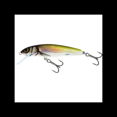 Amostra Salmo Minnow Floating  6 e 7cm