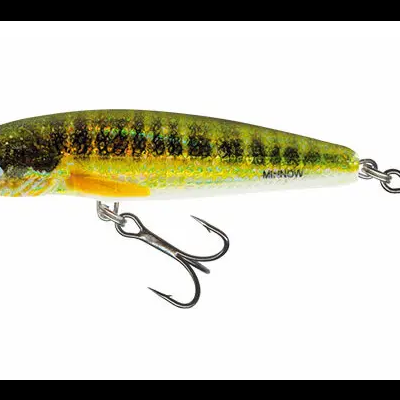 Amostra Salmo Minnow Floating  6 e 7cm