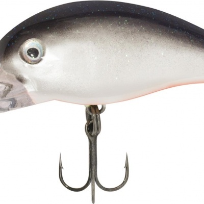 Amostra Crank Quantum Baby 8-Minus