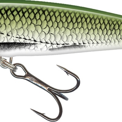 Amostra Salmo Minnow Floating  6 e 7cm