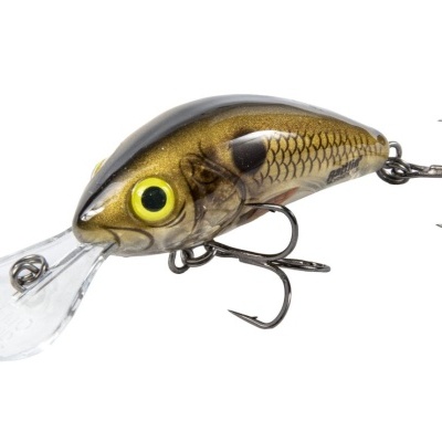 Amostra Salmo  Hornet  Floating