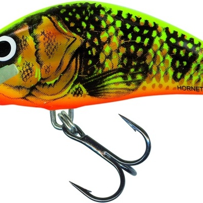 Amostra Salmo  Hornet  Floating