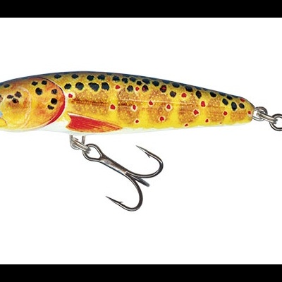 Amostra Salmo Minnow Floating  6 e 7cm