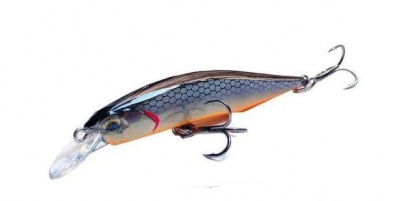 Amostra Hengjia Jerkbait 8