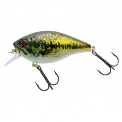 Amostra Sakura Bomba Crank SCB