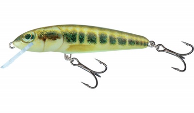 Amostra Salmo Minnow Floating  6 e 7cm