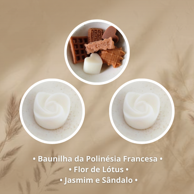 Pack Descoberta de Wax Melts