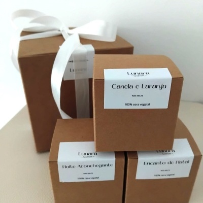 Pack Descoberta de Wax Melts