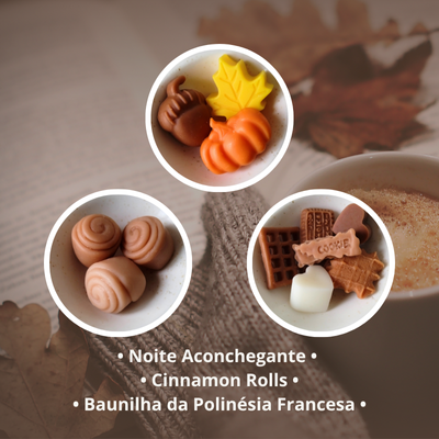Pack Descoberta de Wax Melts