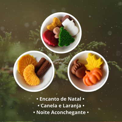 Pack Descoberta de Wax Melts