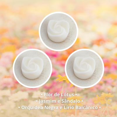 Pack Descoberta de Wax Melts