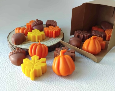 Wax melts "Noite Aconchegante"