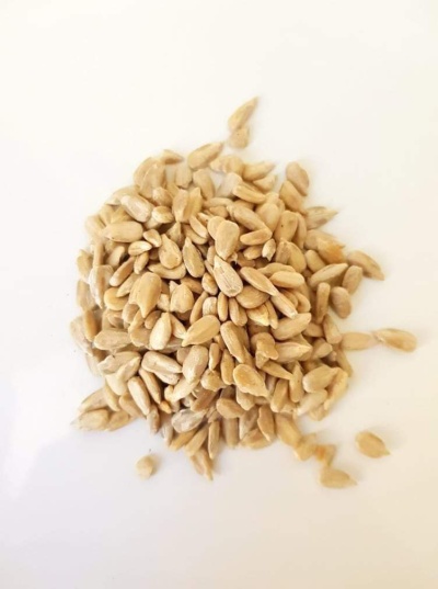 Sementes de Girassol