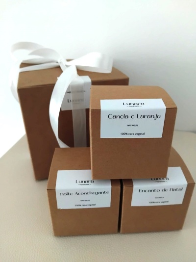 Pack Descoberta de Wax Melts