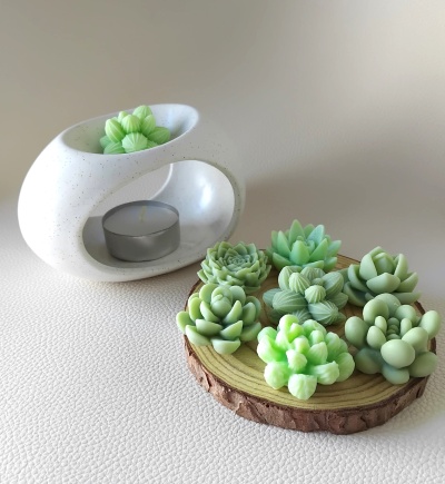 Kit Difusor + Wax melts "Jardim Encantado"