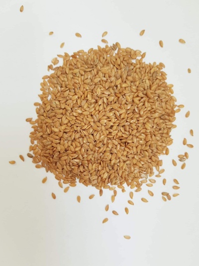 Sementes de linhaça