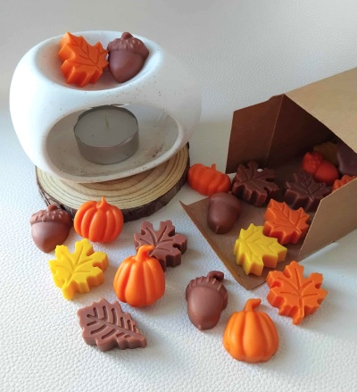 Kit Difusor + Wax melts "Noite Aconchegante"