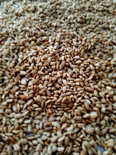 Sementes de girassol caramelizadas