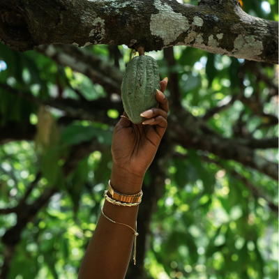 Pit Your Wits - Solid Deodorant Pit Your Wits - Solid Deodorant