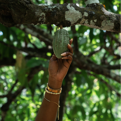 Gift Card - 120€ Gift Card - 120€