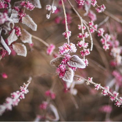 Slow Down - Alma Winter Collection