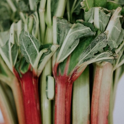 Cinnamon & Cocoa - Soap Cinnamon & Cocoa - Soap