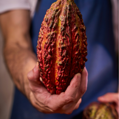 Forest - Soap Forest - Soap