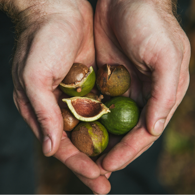 The Special One - Renewing Face Cream