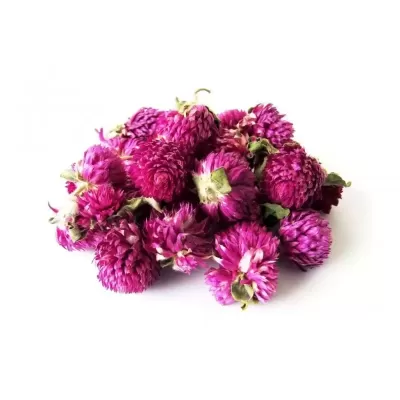 Perpétua Roxa | 50g