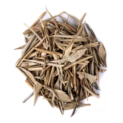 Folha de Oliveira | 50g