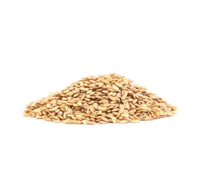 Sementes de Linhaça