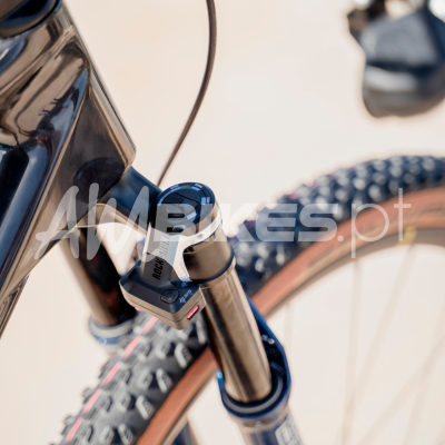 KTM Scarp Exonic