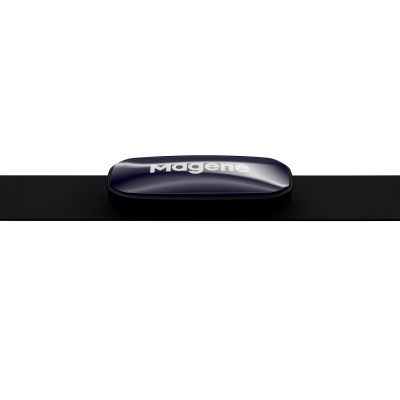 Monitor de frequência cardíaca H613