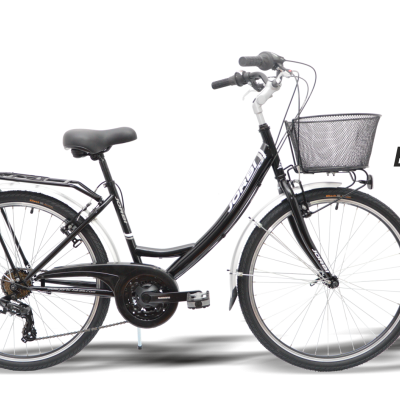 https://www.ambikes.pt/product/jorbi-village