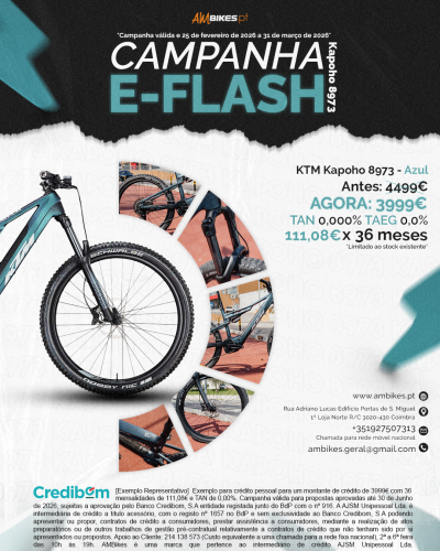 KTM Macina Kapoho 8973 L