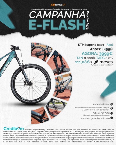 KTM Macina Kapoho 8973 L