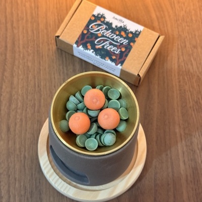 https://www.ancillastudio.com/product/betweentrees-waxmelt