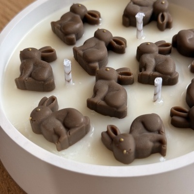Chocolate Bunnies