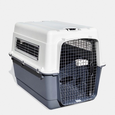 Transportadora Bench 100x67x76 cinza